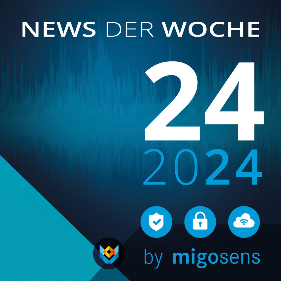 Der Datenschutztalk KW 24