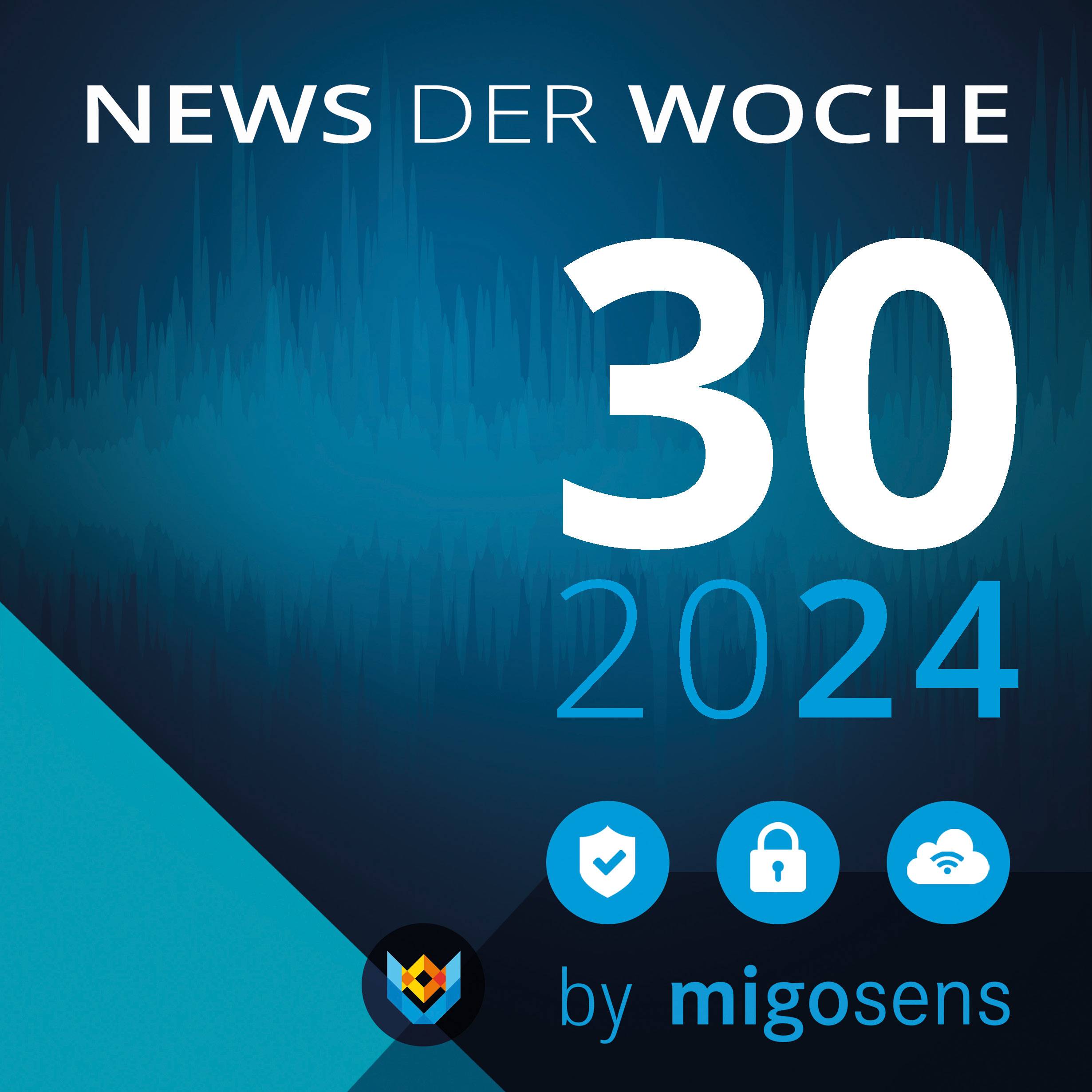 Der Datenschutz Talk KW 30