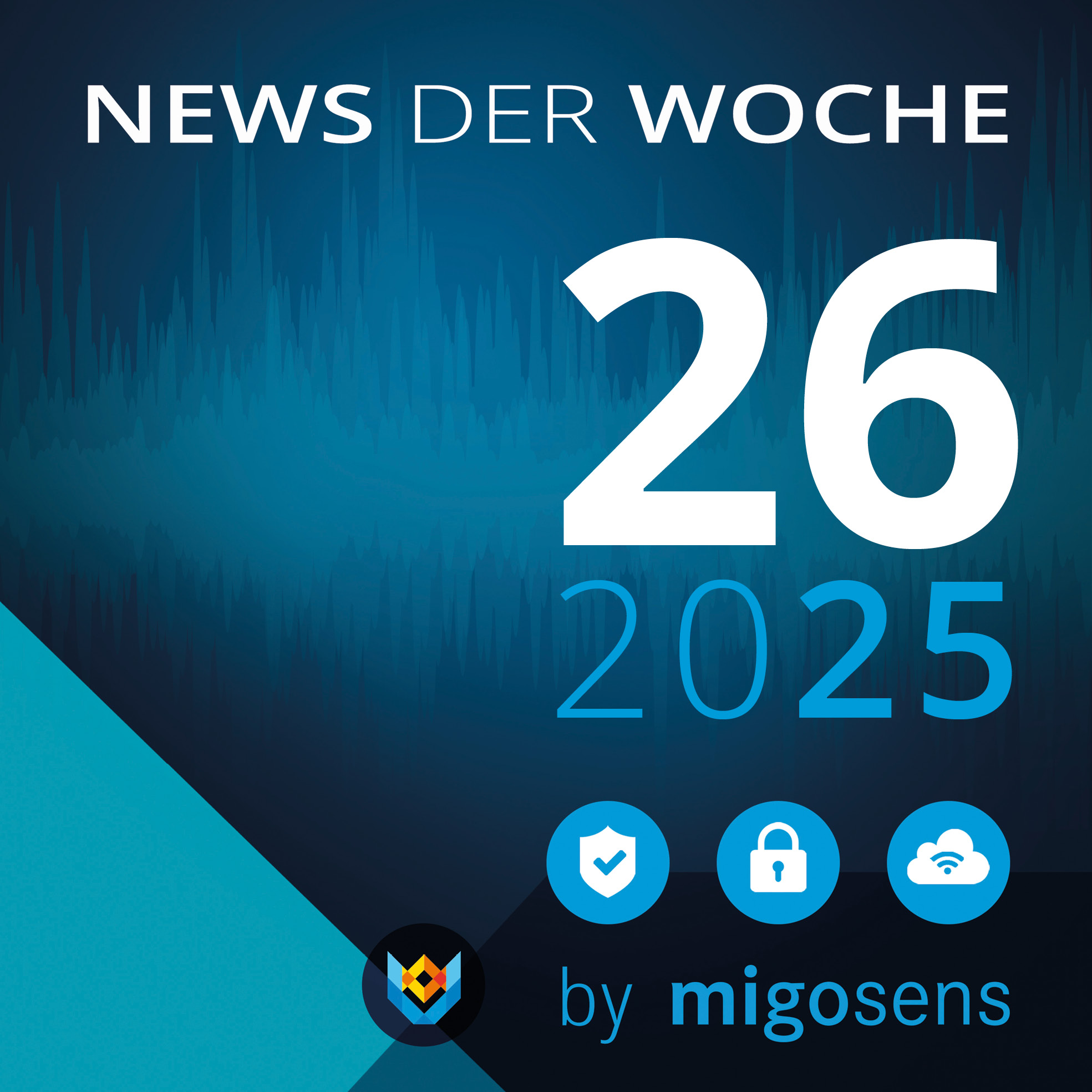 Datenschutznews KW 26